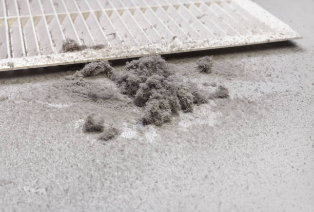 Best Affordable Air Duct Cleaning  in Independence, KS